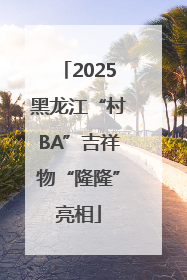 2025黑龙江“村BA”吉祥物“隆隆”亮相