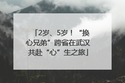 2岁、5岁！“换心兄弟”跨省在武汉共赴“心”生之旅