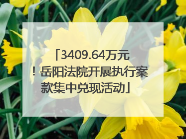 3409.64万元！岳阳法院开展执行案款集中兑现活动