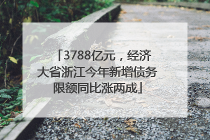 3788亿元，经济大省浙江今年新增债务限额同比涨两成