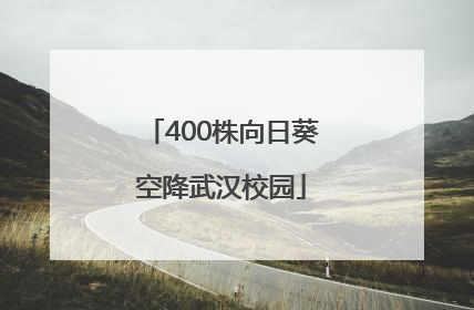 400株向日葵空降武汉校园