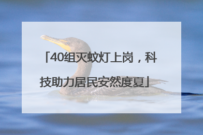 40组灭蚊灯上岗，科技助力居民安然度夏