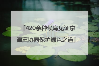 420余种候鸟见证京津冀协同保护绿色之道