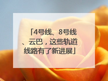 4号线、8号线、云巴，这些轨道线路有了新进展