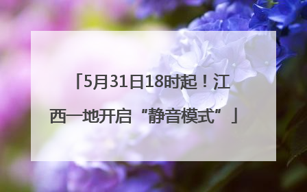 5月31日18时起！江西一地开启“静音模式”