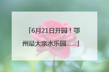 6月21日开园！鄂州最大亲水乐园……