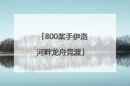 800桨手伊洛河畔龙舟竞渡