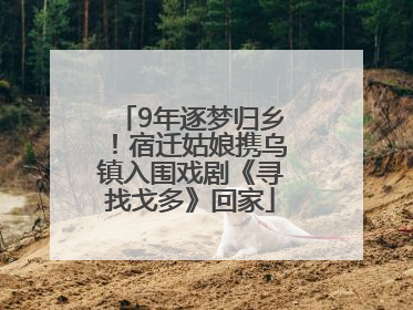 9年逐梦归乡！宿迁姑娘携乌镇入围戏剧《寻找戈多》回家