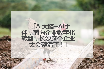 AI大脑+AI手伴，面向企业数字化转型，长沙这个企业太会整活了！