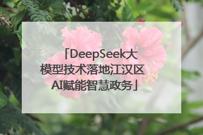 DeepSeek大模型技术落地江汉区 AI赋能智慧政务