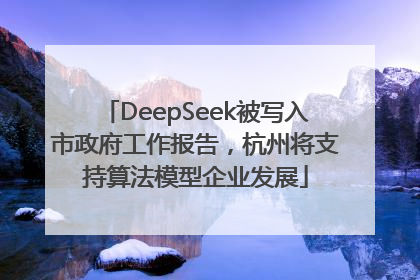 DeepSeek被写入市政府工作报告，杭州将支持算法模型企业发展