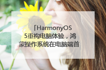 HarmonyOS 5重构电脑体验，鸿蒙操作系统在电脑端首次亮相丨新经济观察