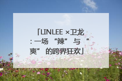 LINLEE ×卫龙：一场 “辣” 与 “爽” 的跨界狂欢