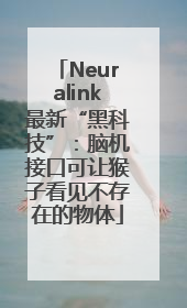 Neuralink最新“黑科技”：脑机接口可让猴子看见不存在的物体